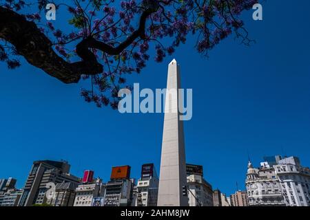 The Obelisk surrounded by a jacaranda tree in Buenos Aires, Argentina Stock Photo