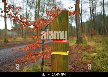 Wooden path waymarker with red and yellow paint indicating walking routes. Blurred path and forest background. Blairadam forest, Fife, Scotland. Stock Photo