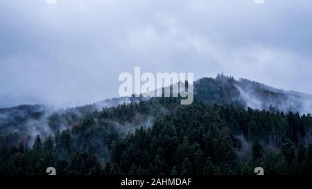 Germany, Magical water vapour rising from dark green black forest fir tree mountains on rainy, foggy day in dark mood Stock Photo