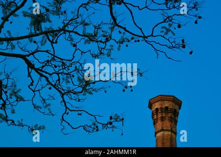 Ruins of Abandoned former Victorian Era Industrial Site, Walka Water Works, Italianate Architecture, tree and Smoke Stack, Maitland, Australia Stock Photo