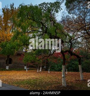 Towering in the eastern suburb of Nanjing, Purple Mountain (Zhongshan Mountain National Park Stock Photo