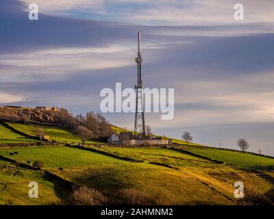 Communication mast in farming landscape, UK. Stock Photo