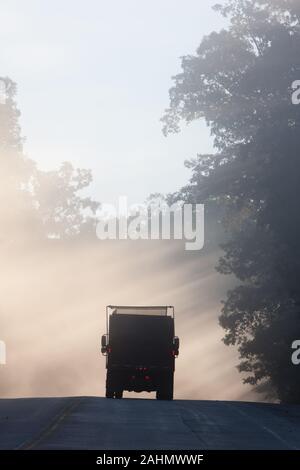 A dump truck on a very foggy morning with sunlight bursting through the trees. Stock Photo