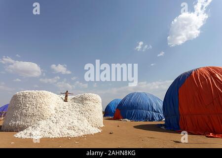 piles of cotton in desert, harvest, crop, Africa, agriculture, Ethiopia Stock Photo