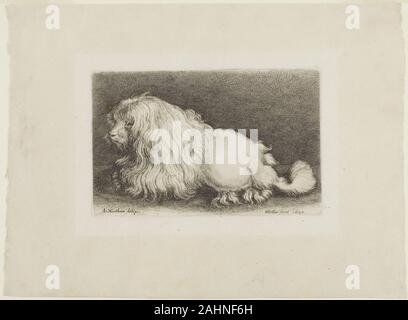 Poodle 1649 best sale