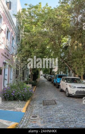 Old San Juan with colonial architecture, many cobblestones streets lined with trees and flowers, tropical plants and harmonious colorful buildings. Stock Photo