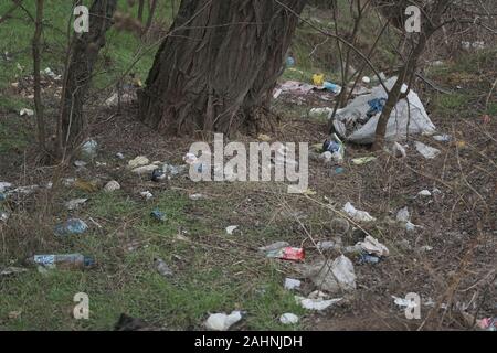 Forest pollution, plastic garbage in the pinewood. Dump plastic debris in pine tree forest. Dump garbage in woods of Ukraine. Environmental Stock Photo