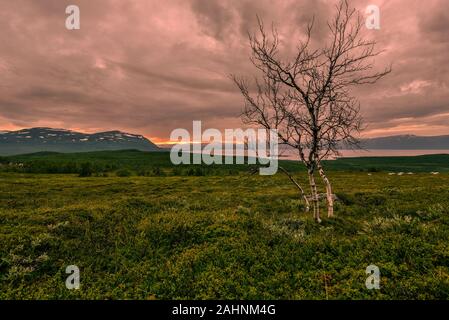 The landscape of Abisko National park in Northern Sweden as seen from Paddus viewpoint in the direction of Tornetrask lake in sunset light. The Nordic Stock Photo