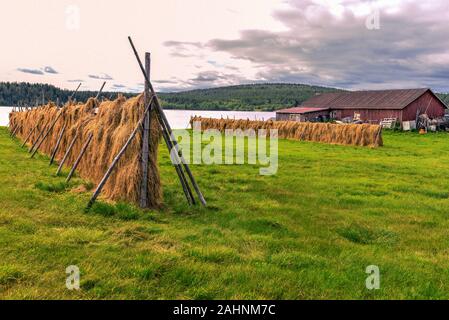 Farm area in Hetta village in Finnish Lapland with Typical nordic hayracks. Ounasjrvi lake and the forests of Pallas-Yllastunturi National Park are et Stock Photo