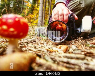 Mushroom mirroring in camera lens while photographer take picture Stock Photo