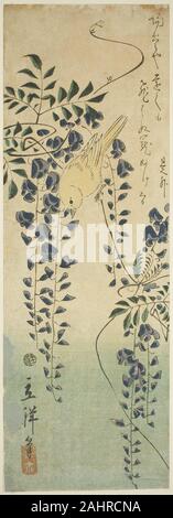 Utagawa Hiroshige II (Shigenobu). Canary and wisteria. 1865. Japan. Color woodblock print; chutanzaku Stock Photo