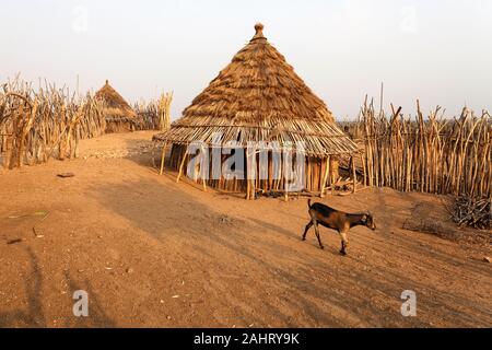 Typical house in a village of Hamer tribe, Omo valley, Ethiopia Stock Photo