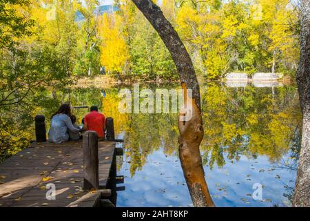 Family at the jetty of the pond. Finnish Forest, Rascafria, Madrid province, Spain. Stock Photo