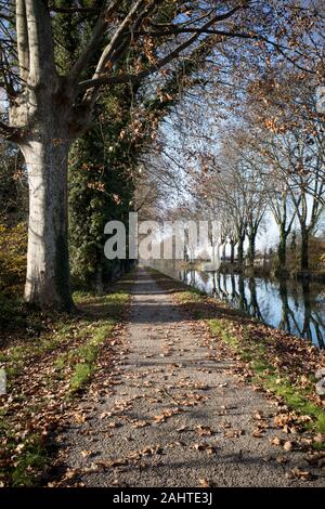 CANAL LATÉRAL À LA GARONNE - CANAL LINED BY AN ALLEY OF POPLARS - FRENCH CANAL -CANAL LANDSCAPE  IN AUTUMN SEASON -  LOT ET GARONNE - AQUITAINE - FRANCE © Frédéric BEAUMONT Stock Photo