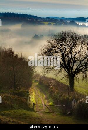 View From Hod Hill toward Stourpaine In The Mist, Dorset, England, UK Stock Photo