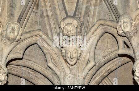 YORK CITY ENGLAND MINSTER INTERIOR CHAPTER HOUSE HEADS AND CARVINGS MONSTER ON THE HEAD OF A PERSON Stock Photo