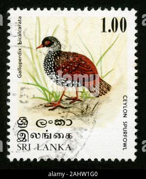 Stamp print in Sri Lanka,Ceylon Spurfowl,Galloperdix bicalcarata Stock Photo
