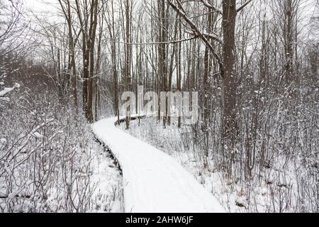 London, Canada - December 31, 2019. A fresh snow fall covers trees in the Sifton Bog, an environmentally sensitive area located within the city. Stock Photo