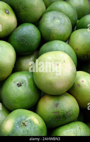 Grapefruit harvest. Background texture. Grapefruit on a grocery store shelf, close-up. Exotic fruits in the supermarket. Stock Photo