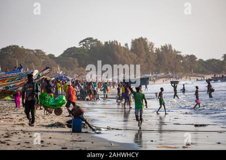 TANJI, THE GAMBIA - NOVEMBER 21, 2019: Scene with men and women carrying fish from the boats to the beach on Tanji, Gambia, West Africa. Stock Photo