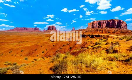 Horse at John Ford Point with towering red sandstone formations of Sentinel Mesa, Merrick Butte, Mitten Buttes in Monument Valley Navajo Tribal Park Stock Photo