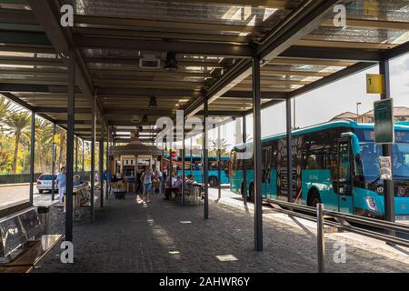 Canary bus gran canaria