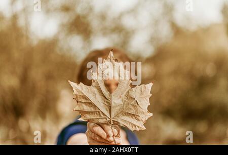 The senior woman with blue blouse and heart-shaped maple leaf. Autumn concept. Selective focus