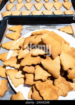 freshly baked Christmas tree-shaped cookies on white plate on baking tray on kitchen table Stock Photo