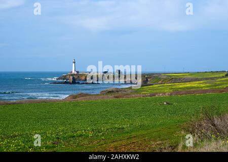 A sunny and slightly hazy January day with blooming yellow oxalis and at Pigeon Point Lighthouse on the Pacific Ocean coast in Pescadero, California. Stock Photo