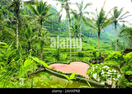 (Selective focus) Stunning view of the Tegalalang rice terrace fields with a beautiful red heart in the foreground. Stock Photo