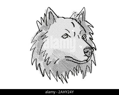 Retro cartoon style drawing of head of a Chusky mixed breed dog, a cross between the Chow Chow and Siberian Husky dog on isolated white background