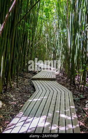 A very long boardwalk surrounded by bamboo trees in Maui, Hawaii Stock Photo