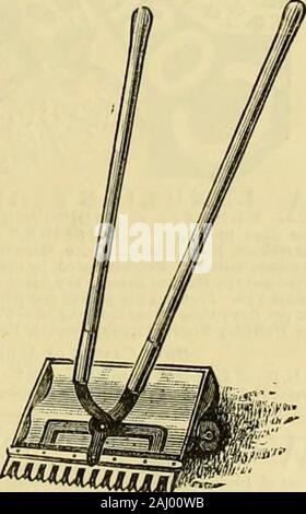 The Gardeners' chronicle : a weekly illustrated journal of horticulture and allied subjects . It is used for Cutting Turfand Grass Edges, Cutting outOrnamental Beds and roundRaided Beds, Hoeing andWeeding, Cutting Water-courses, S:c. W. CLARKS PATENT GRASS and CORNCUTTER. This useful Machine is usedfor Lawns, Banks, Grass Edg-ings, round Flower Beds, andplaces where the Lawn Mowercannot reach ; will Trim Shiubs,Ivy and Creepers ; CuttingClover, Rye and other GreenCrops; Irimming Hay andCorn Ricks, Thatch, &a Soldin five sizes, with or withouttrays. PRICES. The 8-in. machine, complete with roll Stock Photo