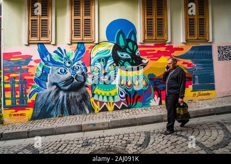 Facade of a house with graffity of cats sprayed on, a man using a smartphone walking past in the suburb Karaköy Stock Photo