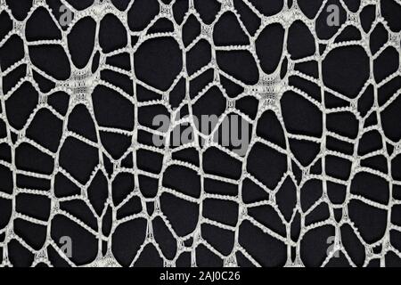 Abstract white mesh pattern background on black matte surface Stock Photo