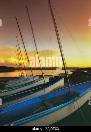 Sailing boats at Bewl water Reservoir, Kent and East Sussex. England. UK Stock Photo