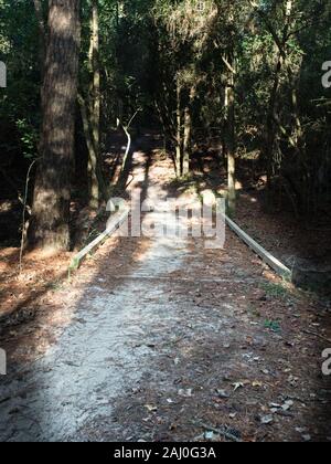 Spring TX USA - 10/10/2019  -  Bridge on Pat in the Woods Stock Photo