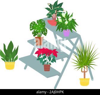 Wooden ladder with houseplants in pots. Vector flat style illustration. Isolated on white. Stock Vector