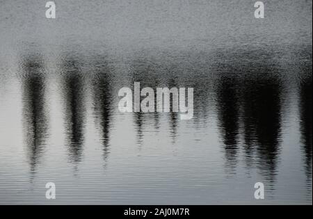 A beautifully abstract image of the upside down water reflection of Evergreen trees in an Alaskan lake. An amazing image for any media presentation. Stock Photo