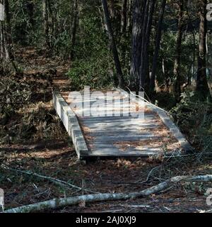 Conroe, TX USA - 11/15/2019  -  Wooden Bridge in the Woods Stock Photo