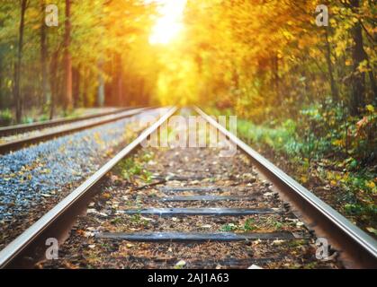 Abandoned railway under autumn colored trees tunnel, golden leafs falling  down Stock Photo - Alamy