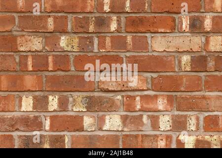 A new brick wall built using Cheshire Common bricks Stock Photo