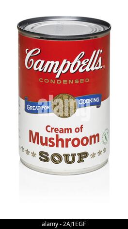 A tin of Campbells condensed cream of mushroom soup Stock Photo