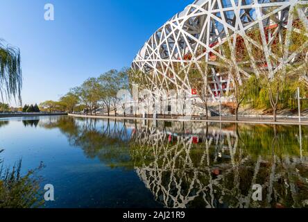 View of the National Stadium (Bird's Nest), Olympic Green, Xicheng, Beijing, People's Republic of China, Asia Stock Photo