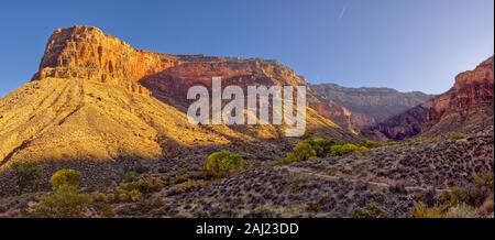 Bright Angel Canyon on the south rim of the Grand Canyon viewed just north of Indian Gardens, Grand Canyon National Park, UNESCO, Arizona, USA Stock Photo