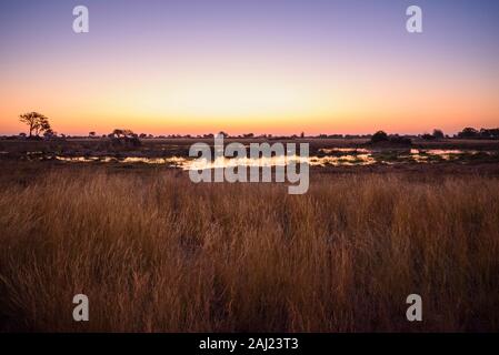 Sunset over the Bushman Plains, Okavango Delta, Botswana, Africa Stock Photo