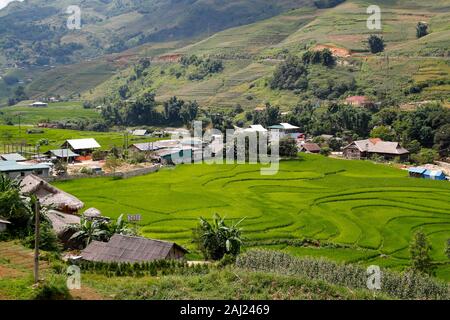 Rice fields on terraces, Sapa, Vietnam, Indochina, Southeast Asia, Asia Stock Photo