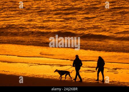 Couple of dog owners walking along the North Sea coast with whippet dog on sandy beach, silhouetted at sunset on a cold evening in winter Stock Photo