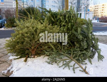 christmas tree end of life garbage Stock Photo