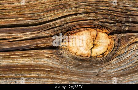 Bright natural wood knot detail. Brown texture of aged cracked plank. Abstract wooden background. Beautiful ancient rough surface. Cracks, round knag. Stock Photo